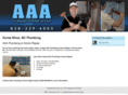 aaaplumbingwnc.com