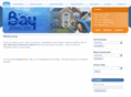 bayins.com