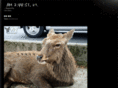 endlis.net