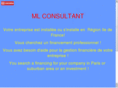 mlconsultant.com