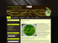 newdaygreenglobe.com