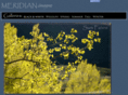 samfaivre.com