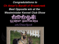 amarigsd.com