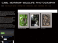 carlmorrowphotography.com