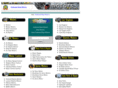 fourstrokemotors.com