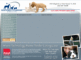 mainstreetpets.com
