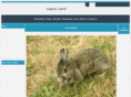test-env-vincent.com