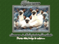 tyjunseesiamese.com