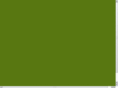 wowiwill.net