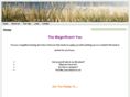 absoluteawesomeabundance.com
