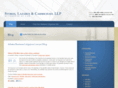 atlantabusinesslitigationlawyers.com
