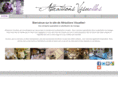 attractionsvisuelles.com