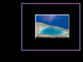 calamaras.com