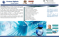 fortunesofttech.com
