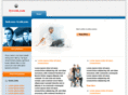 fyrverk.com