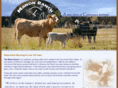 mahonranch.com