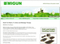 migunoffortmyers.com