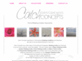 catchconcepts.com