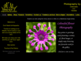dualaspect-photography.co.uk