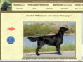 flatcoat.de