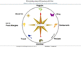 foodallergycompass.biz