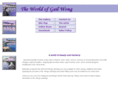 ggwong.com