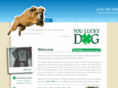 youluckydogstore.com
