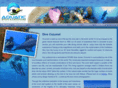 cozumeldivingwithsergio.com