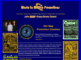 musicinmotionpromotions.com