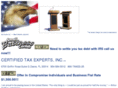 certifiedtaxexpertsinc.com