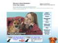 cleverdogcompany.com