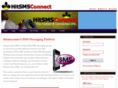 hitsmsconnect.com