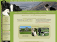 lakedistrictsheepdogexperience.co.uk