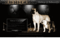 woebegonebull.com