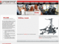 accelerated-fitness-training.com