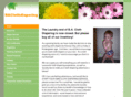baclothdiapering.com