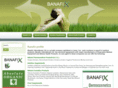 banafix.com