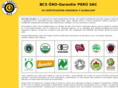 bcsperu.com