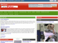 cincipulse.com