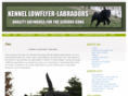 lowflyer-labradors.dk