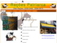 racoespatriarca.com
