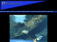 woodsconsulting.com