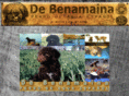 benamaina.com