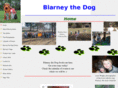 blarneythedog.com