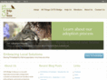 catsbridge.org