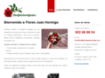 floresjuanhormigo.com