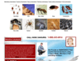 manhattanexterminatorny.com