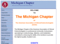 michiganaace.com