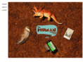 thehumansurprise.com
