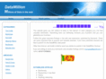 datamillion.com